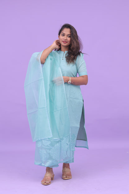 Skyblue-organza applique set